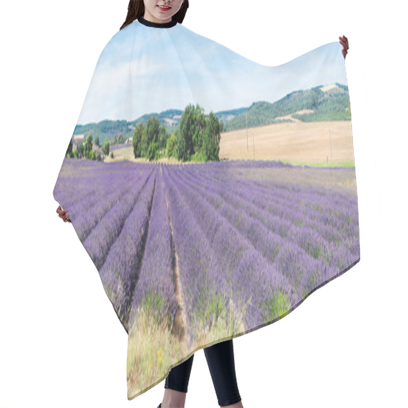 Personality  Lavender Field At Summer Hair Cutting Cape