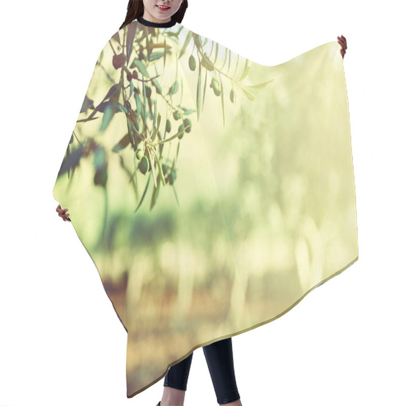 Personality  Olive Trees Garden Hair Cutting Cape