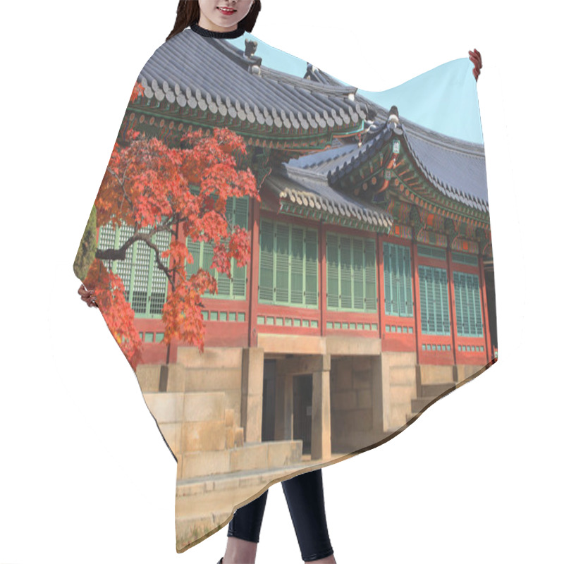 Personality  Deoksugung Palace In Autumn Seoul  South Korea  Hair Cutting Cape