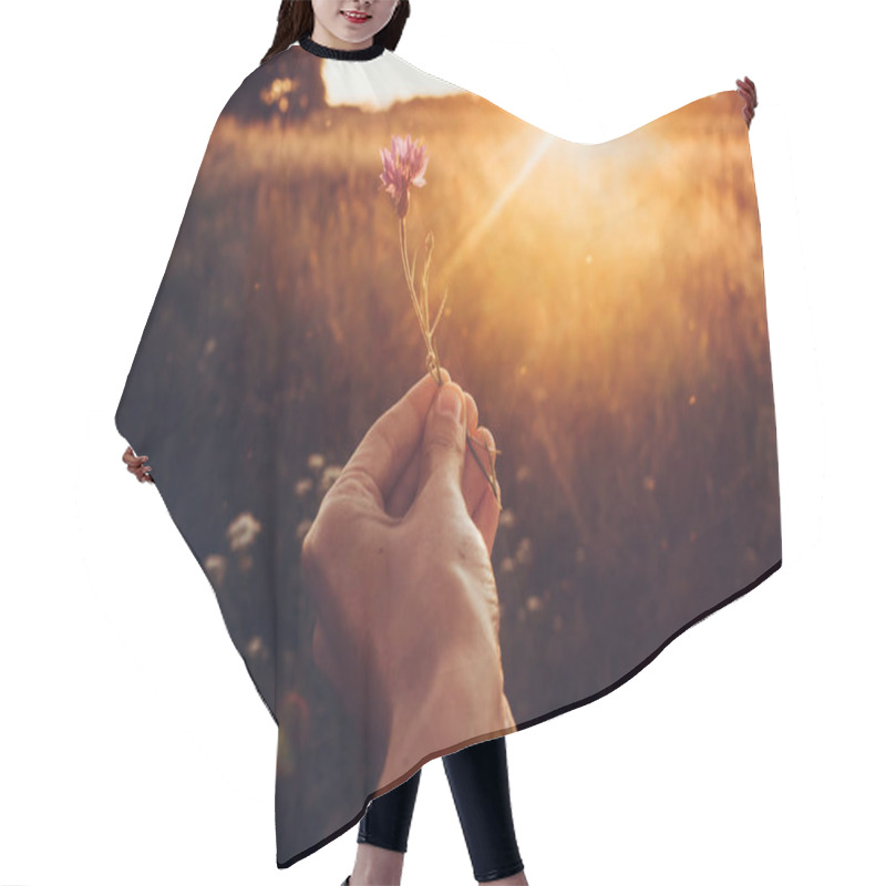 Personality  Hand With Wild Herb In Sunset Rays Hair Cutting Cape