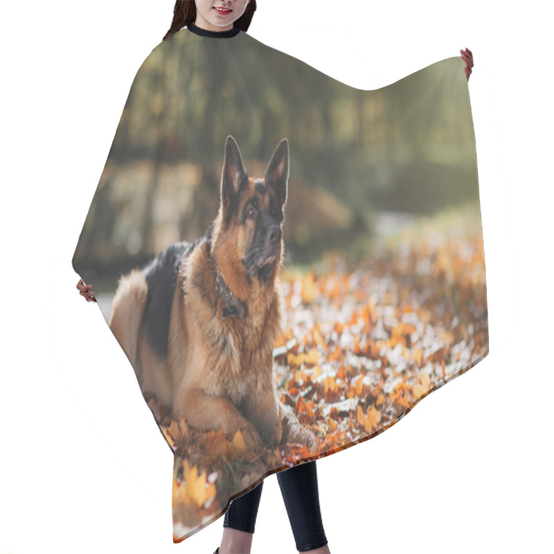 Personality  Dog Breed German Shepherd Hair Cutting Cape