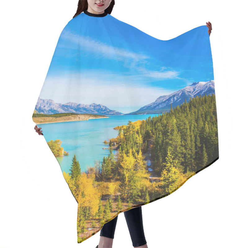 Personality  Picturesque Shores Of Artificial Abraham Lake. Golden Autumn In The Birch And Aspen Groves.  Mountain Valley In The Rocky Mountains Of Canada. Concept Of Active, Ecological And Photo Tourism Hair Cutting Cape