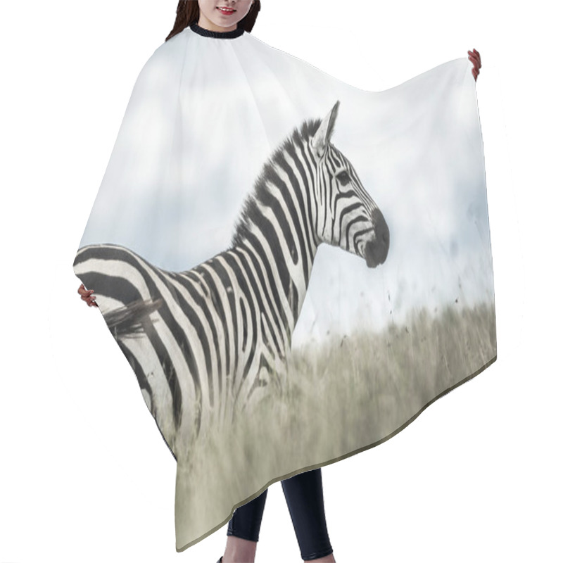 Personality  Zebra In The Wild Savannah, Serengeti, Africa Hair Cutting Cape