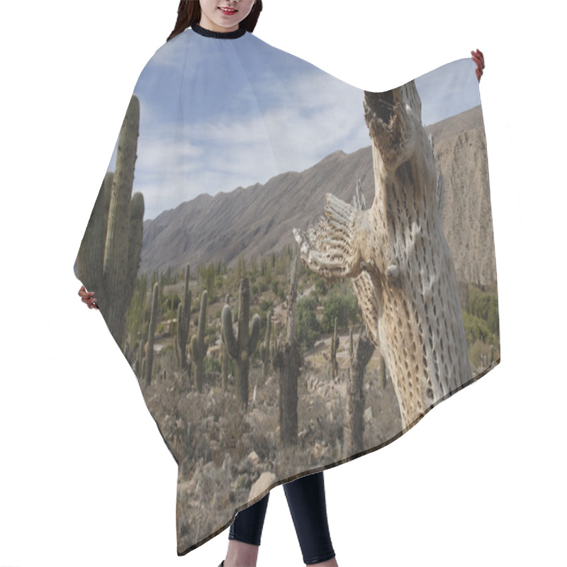 Personality  Cardon Grande Cactuses Hair Cutting Cape