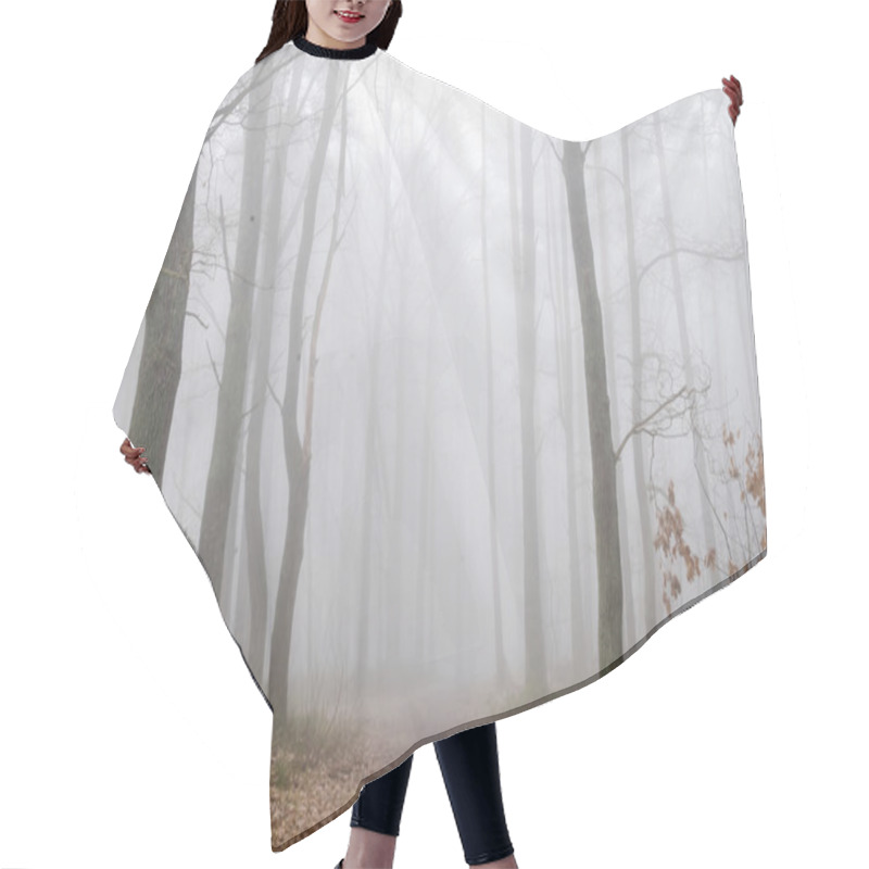 Personality  Forest Road In Fog  Hair Cutting Cape