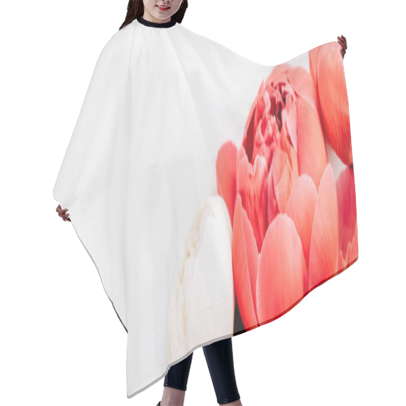 Personality  Top View Of Pink And White Peonies On White Background, Panoramic Shot Hair Cutting Cape