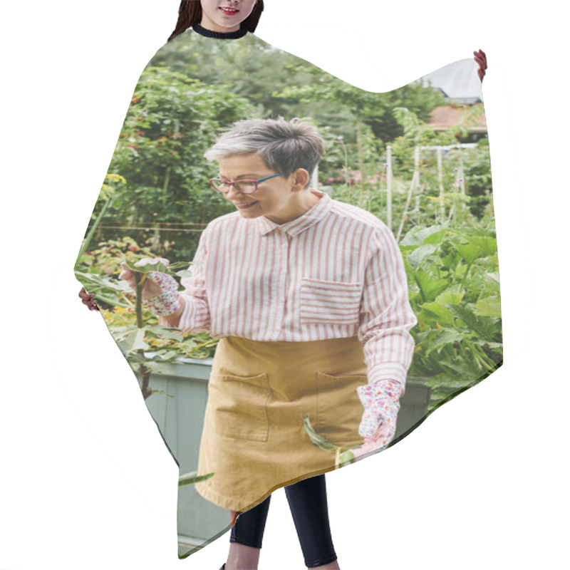 Personality  Attractive Happy Mature Woman With Glasses Working In Her Vivid Green Garden And Smiling Joyfully Hair Cutting Cape