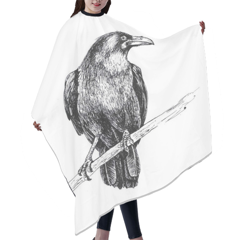 Personality  Hand Drawn Black Raven Sitting On A Branch Hair Cutting Cape