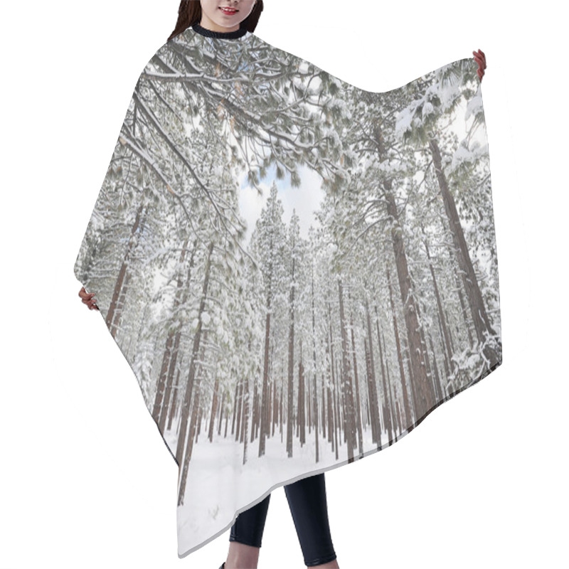 Personality  Trees Covered With Snow In Mountains Hair Cutting Cape