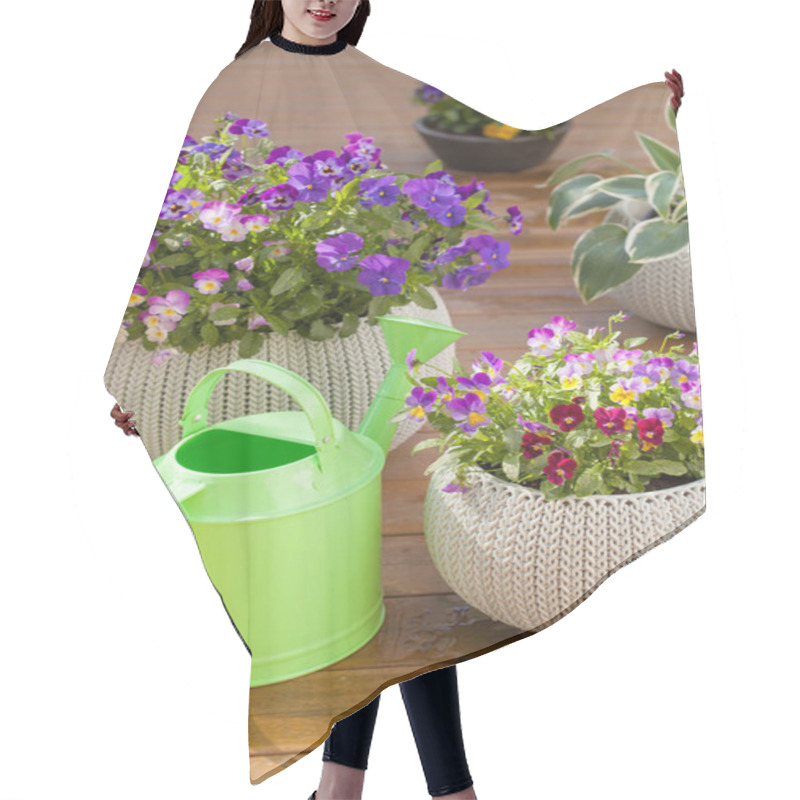 Personality  Beautiful Pansy Summer Flowers In Flowerpots In Garden, Watering Hair Cutting Cape