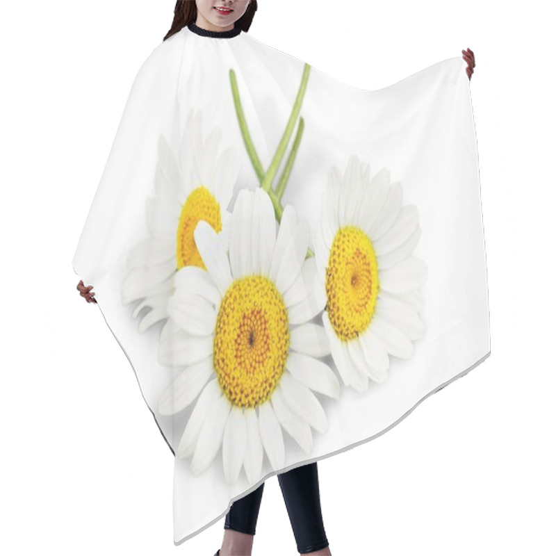 Personality  White Chamomile Flowers  Hair Cutting Cape