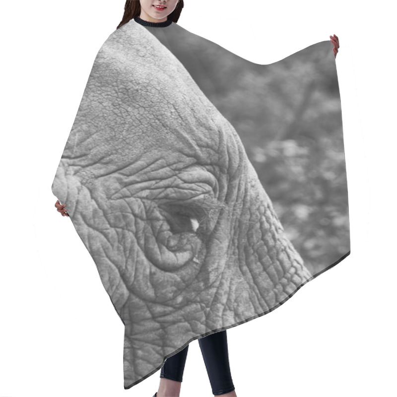 Personality  Close-up Of A Majestic Elephant's Textured Skin And Expressive Eye. Hair Cutting Cape