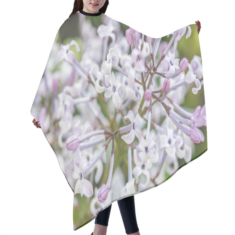 Personality  Blossoming Syringa Lilac Bush, Natural Scene Hair Cutting Cape