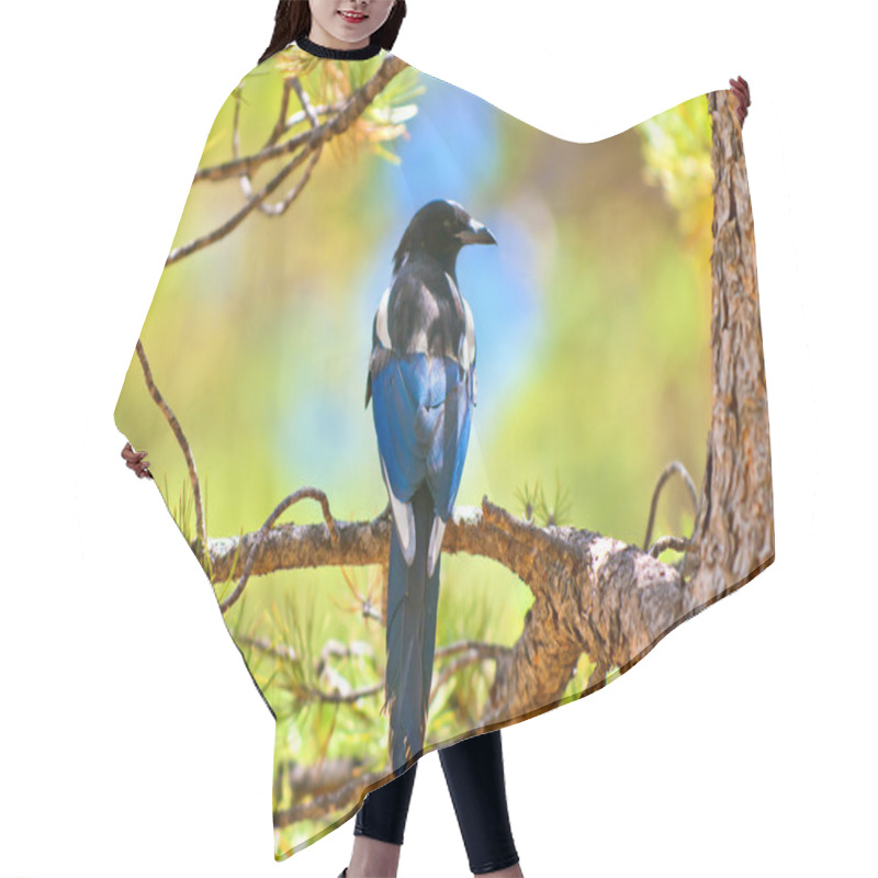 Personality  Magpie Hair Cutting Cape