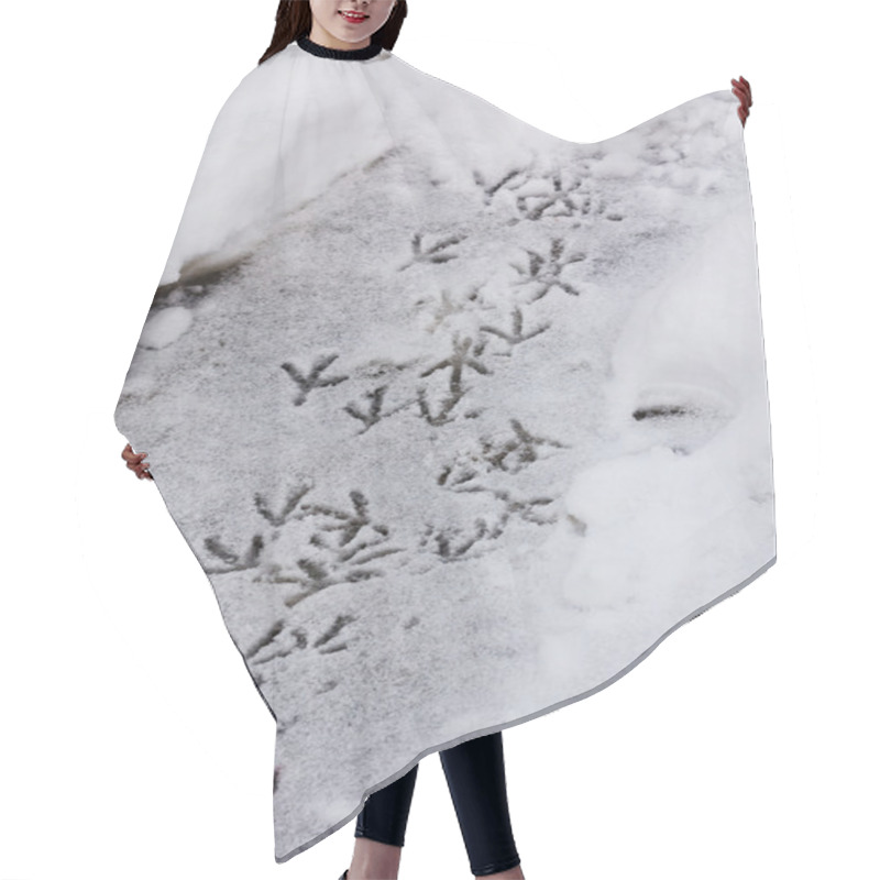 Personality  Bird Footsteps Hair Cutting Cape