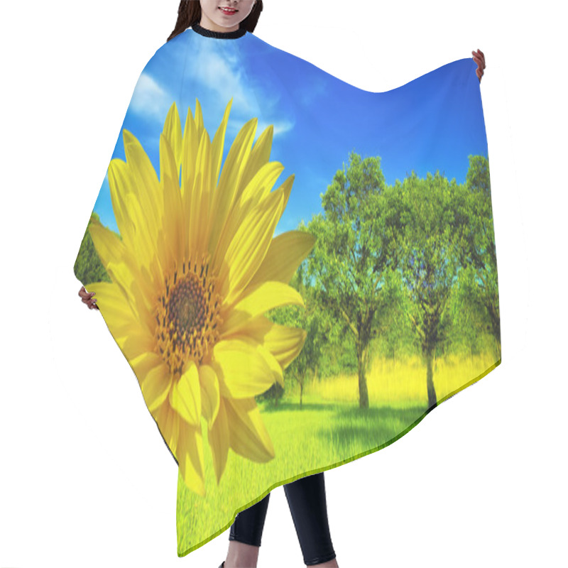 Personality  Spring Background Hair Cutting Cape