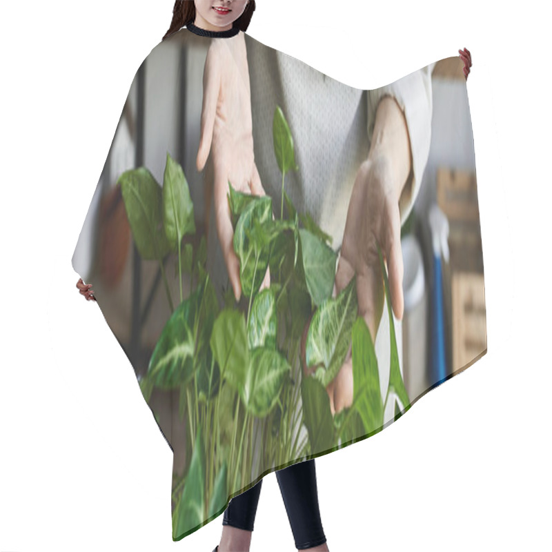 Personality  Mature Woman Tends To Her Thriving Plants, Surrounded By A Nurturing Environment. Hair Cutting Cape