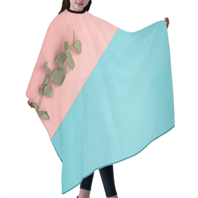 Personality  Flat Lay Pastel Composition. Background Witha Sprig Of Eucalyptus On Blue Pink Background Hair Cutting Cape