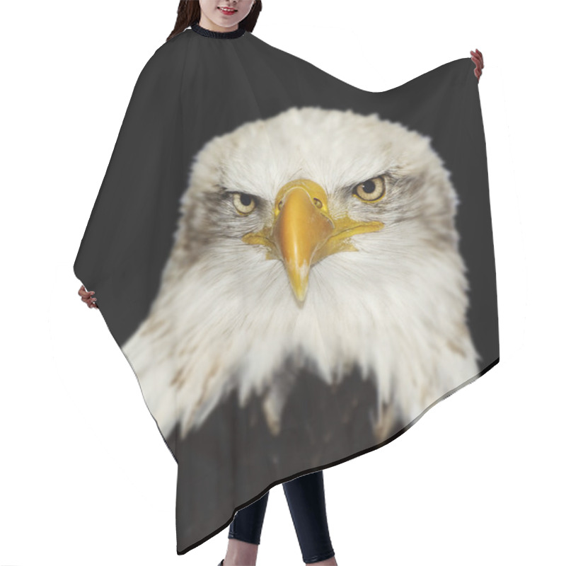 Personality  Full Frontal Portrait Of Amerrican Symbol Bald Eagle Isolated On Hair Cutting Cape