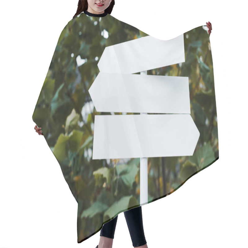 Personality   White And Empty Directional Arrows Near Bush With Green Leaves  Hair Cutting Cape