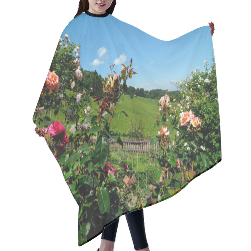 Personality  Sunny Day In A Rose Garden, Pink Roses, Countryside Landscape, Blue Sky Hair Cutting Cape