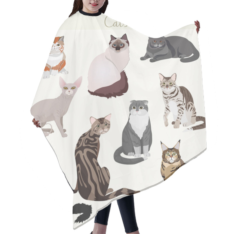 Personality  Vector Breed Cats In Different Poses. Cartoon Highly Detailed Pets. Hair Cutting Cape