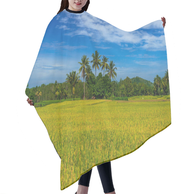 Personality  Beautiful Morning View In Indonesia. Panoramic View Of Yellowed Rice Fields With Bright Blue Sky Hair Cutting Cape