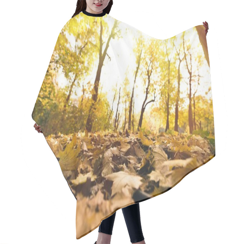 Personality  Fallen Leaves Hair Cutting Cape