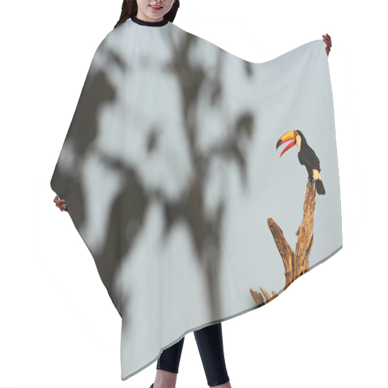 Personality  Big Bird With Open Orange Bill Hair Cutting Cape