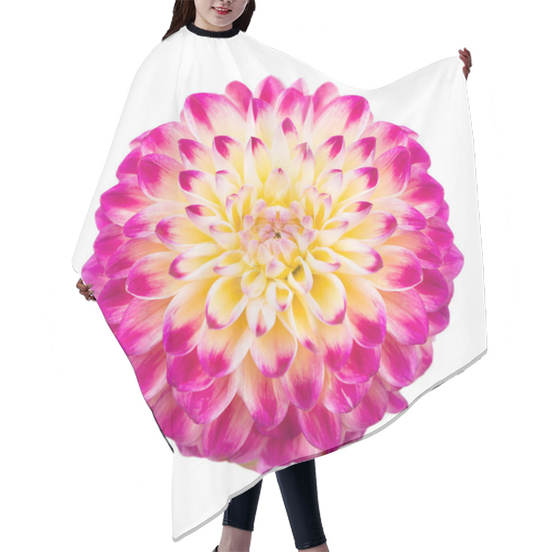 Personality  Deautiful Flower Dahlia Isolated On A White Background Hair Cutting Cape