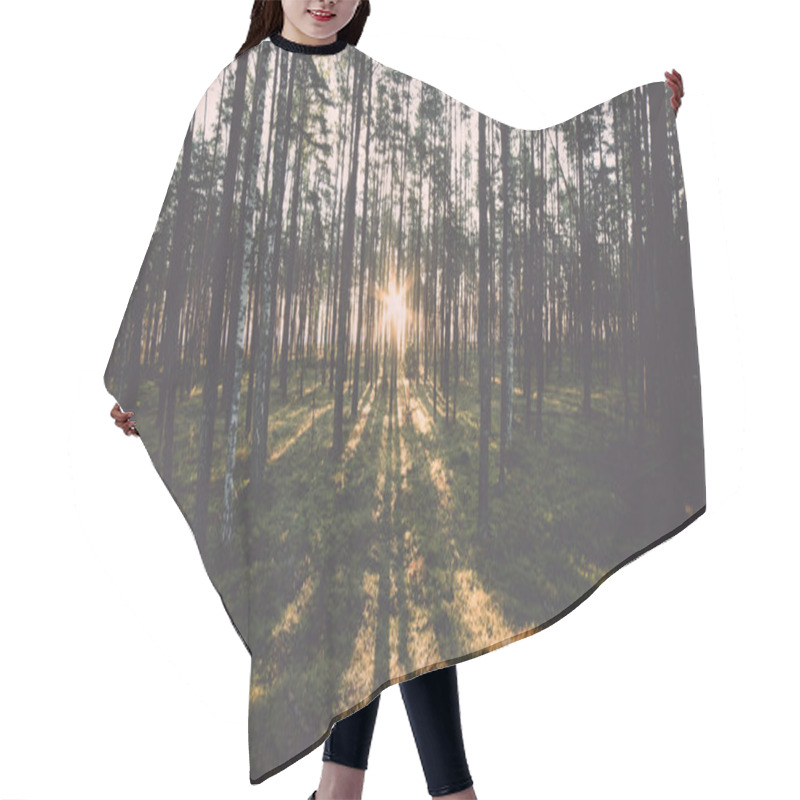 Personality  Old Forest With Moss Covered Trees And Rays Of Sun - Retro, Vint Hair Cutting Cape