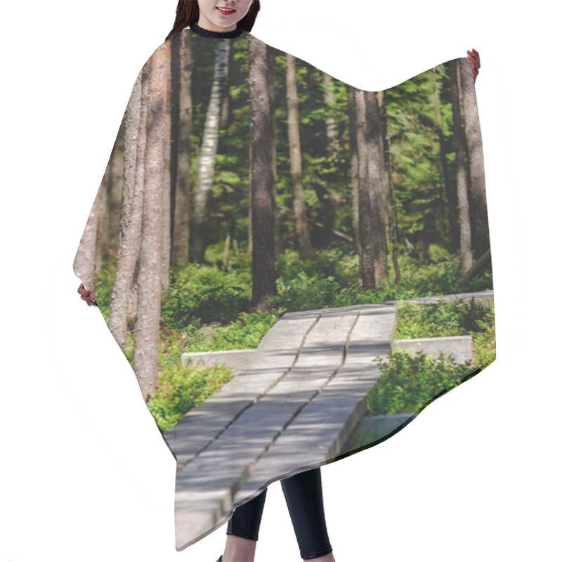 Personality  Wooden Footpath In Swamp With Beautiful Evening Sun Light In Green Foliage Of Summer Bog. Boardwalk In Perspective View - Vertical, Mobile Device Ready Image Hair Cutting Cape