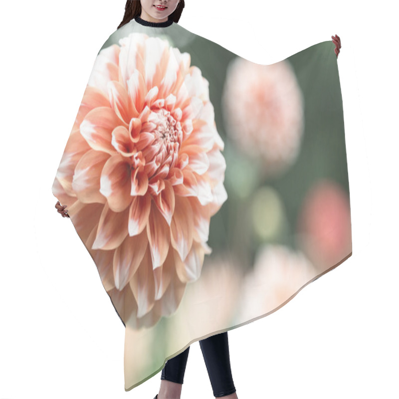 Personality  Orange Dahlia Hair Cutting Cape