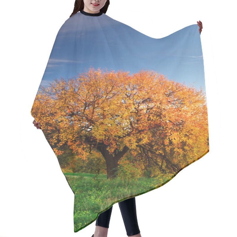 Personality  Big Autumn Tree Hair Cutting Cape