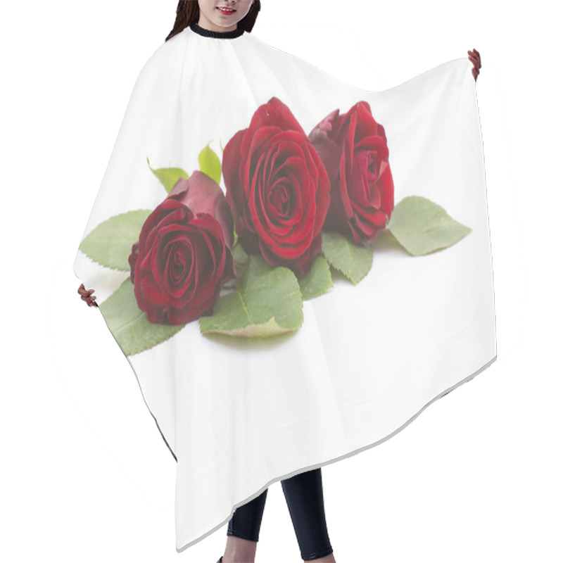 Personality  Red Roses Natural Background Hair Cutting Cape