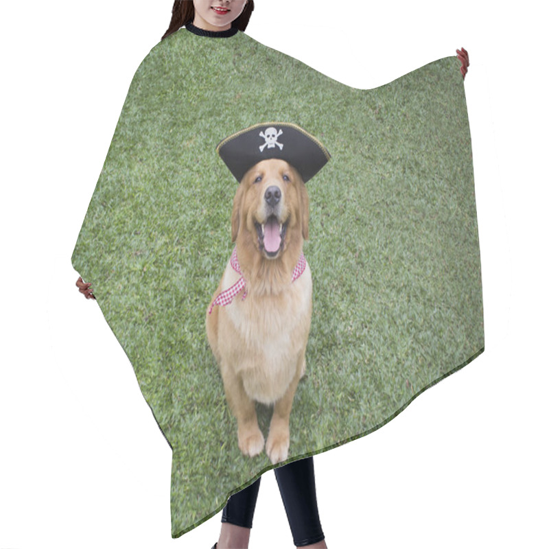 Personality  Happy Golden Retriever Dressed Like A Pirate Hair Cutting Cape