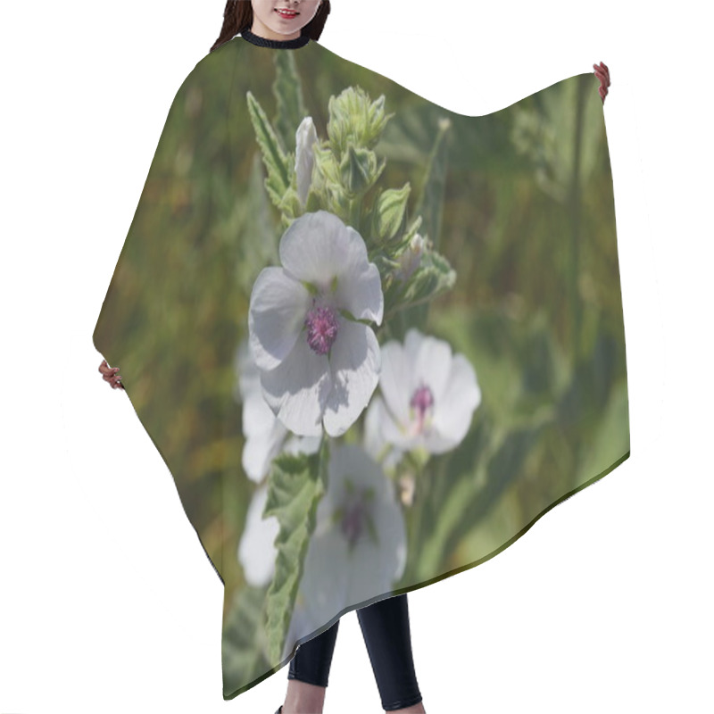 Personality  Wild Mallow Bloom In The Meadow Hair Cutting Cape