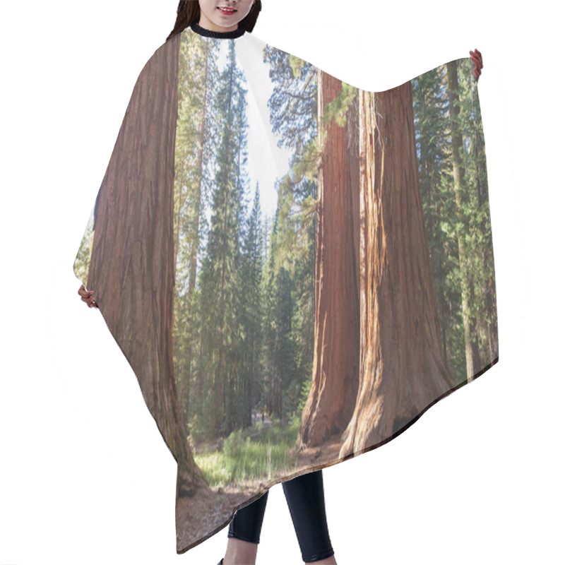 Personality  Yosemite Valley, Yosemite NP,  California, USA Hair Cutting Cape