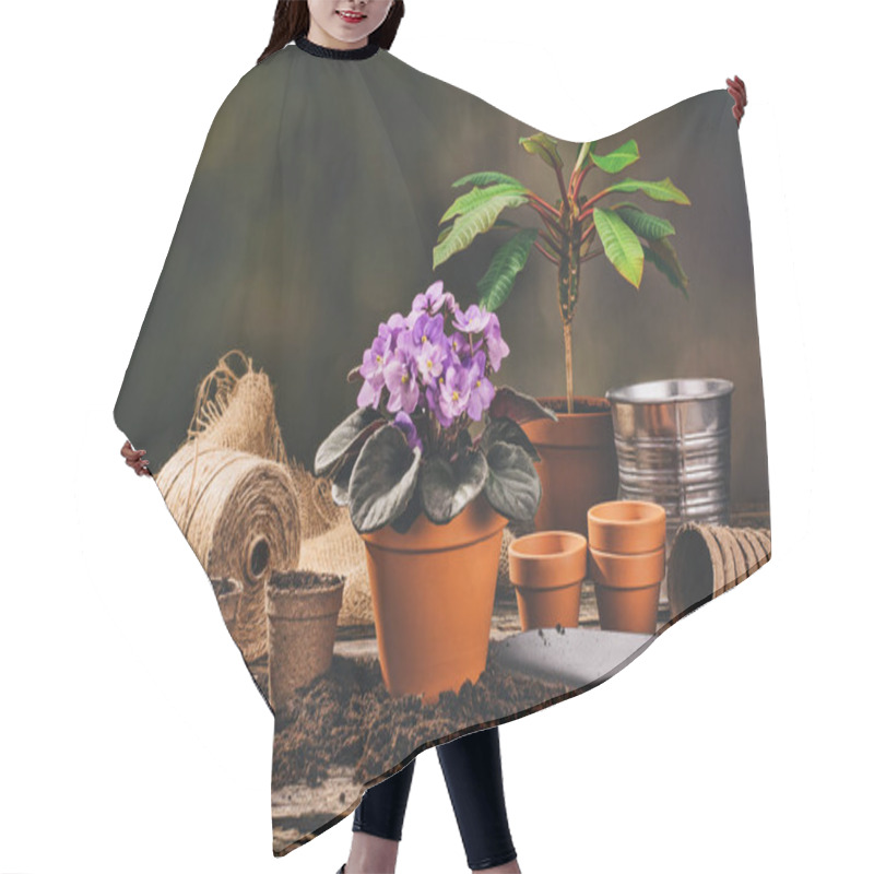 Personality  Planting A Potted Plant On Natural Wooden Background In Garden Hair Cutting Cape