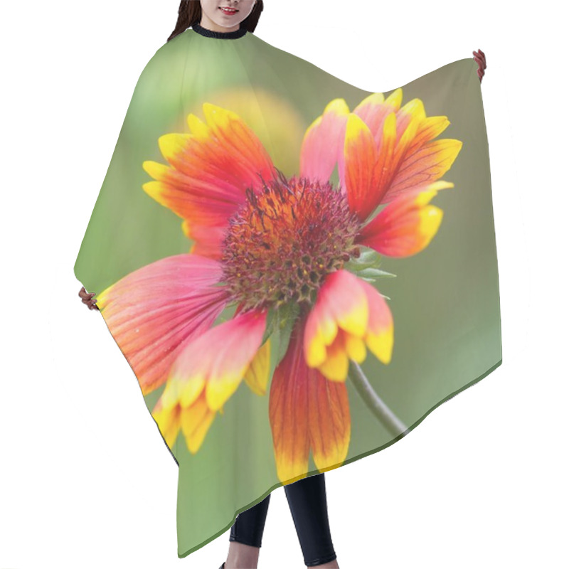 Personality  Different Flowers, Selective Focus Hair Cutting Cape