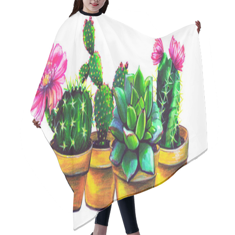 Personality  Cactus, Set Of Succulent Plants, Isolated On A White Hair Cutting Cape