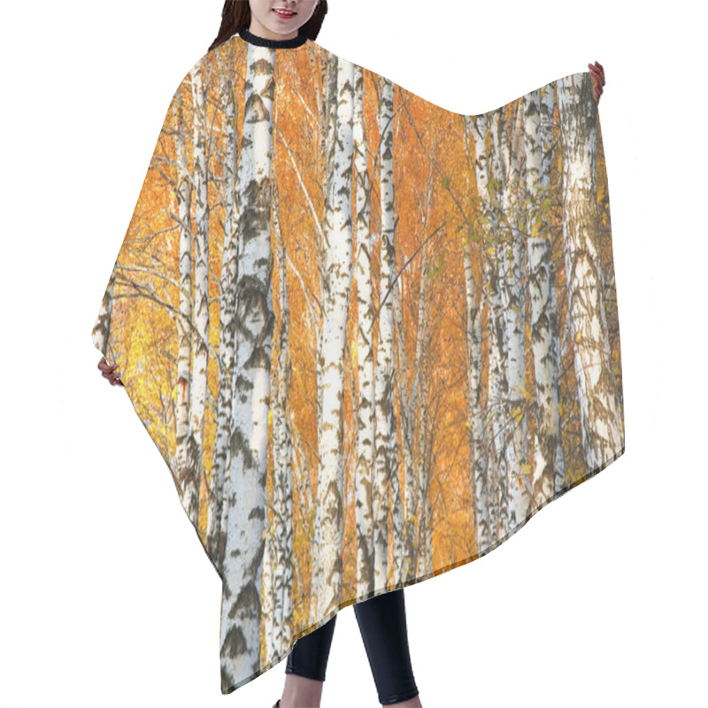 Personality  Autumn Yellowed Birch Forest Hair Cutting Cape