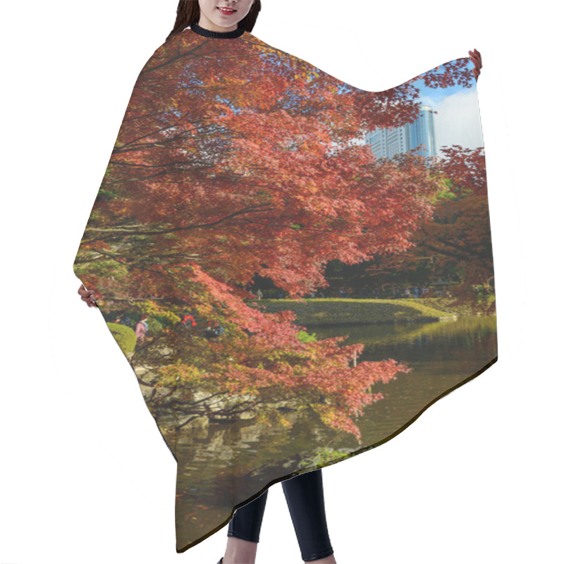 Personality  Koishikawa Korakuen Garden In Autumn In Tokyo Hair Cutting Cape