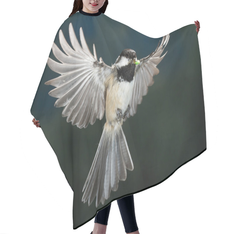 Personality  A Small Flying Bird Hair Cutting Cape