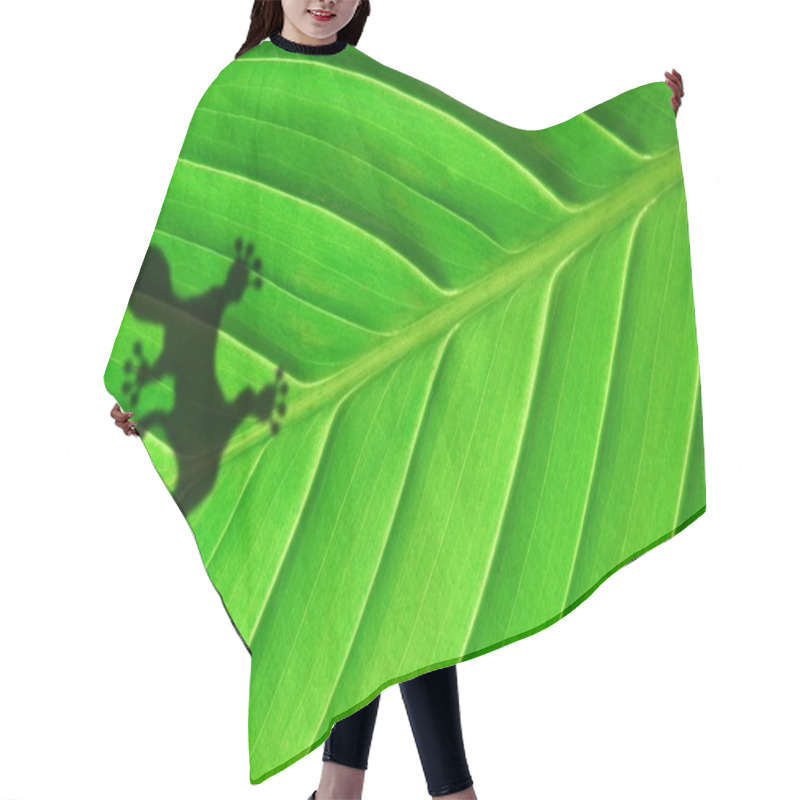 Personality  Tropical Background Hair Cutting Cape