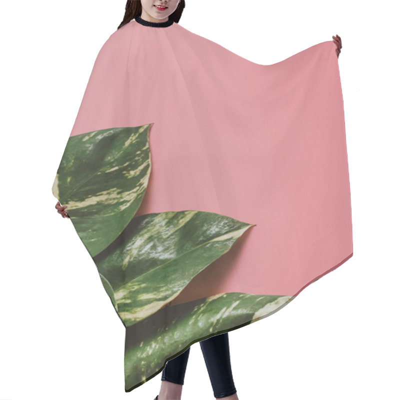 Personality  Creative Tropical Green Leaves Layout Hair Cutting Cape