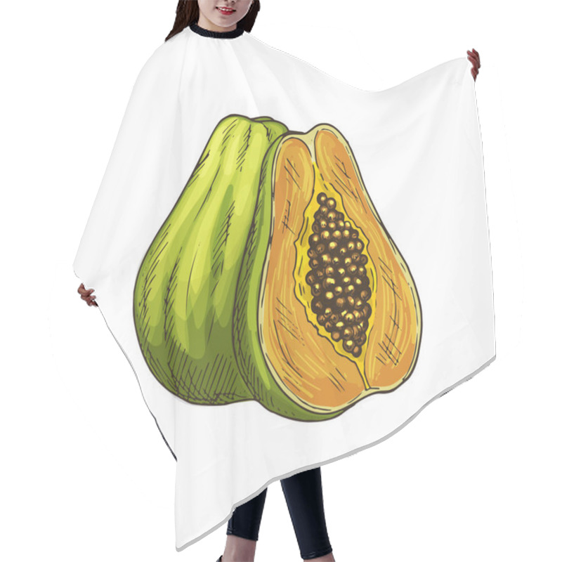 Personality  Papaya Exotic Tropical Fruit Isolated Sketch Hair Cutting Cape