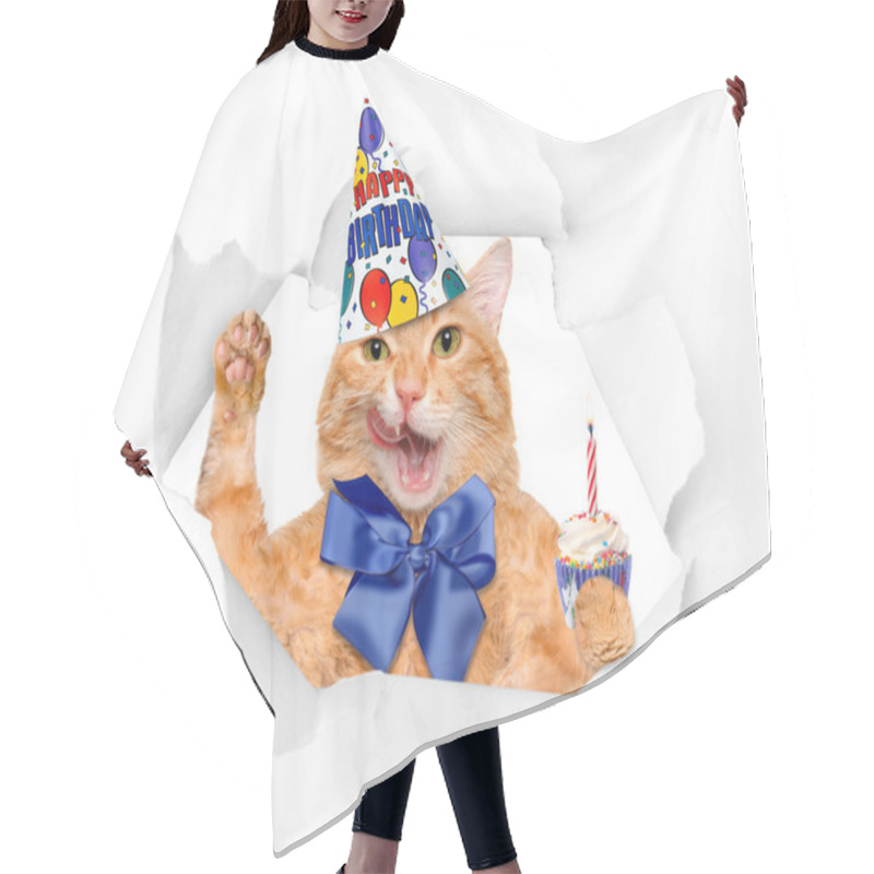 Personality  Birthday Cat . Hair Cutting Cape