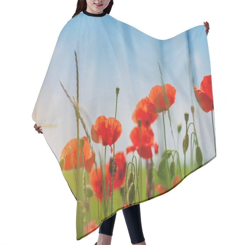 Personality  Red Poppy Flowers Hair Cutting Cape