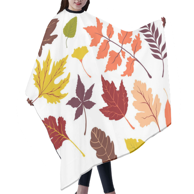 Personality  Set Of Vector Autumn Bright Leaves. Collection Of Maple, Oak And Other Leaves   Hair Cutting Cape